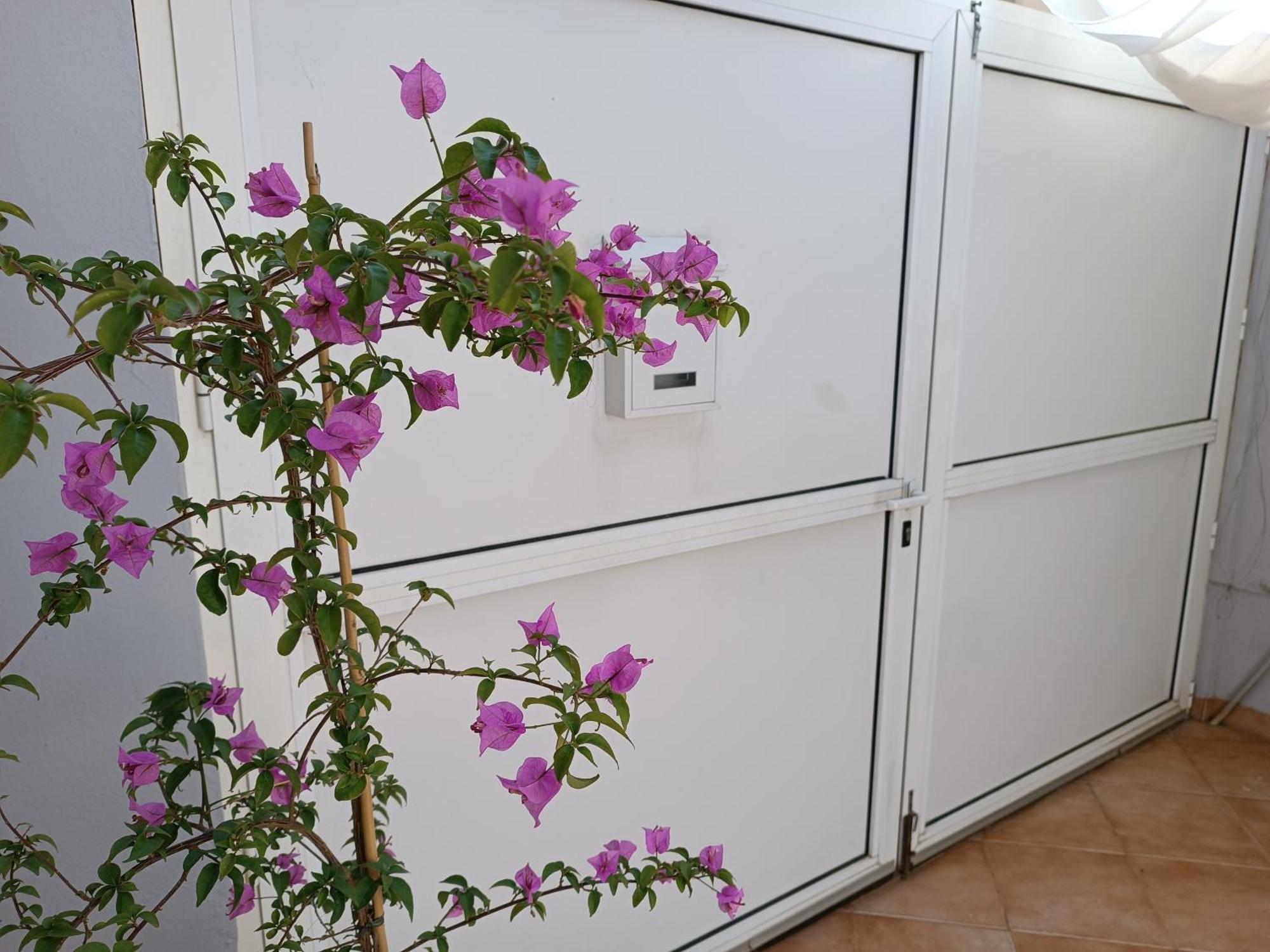 Apartman Dani Zára Kültér fotó